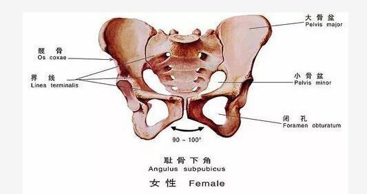 产后恢复