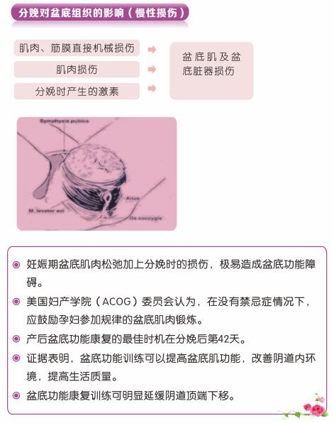 盆底肌康复治疗