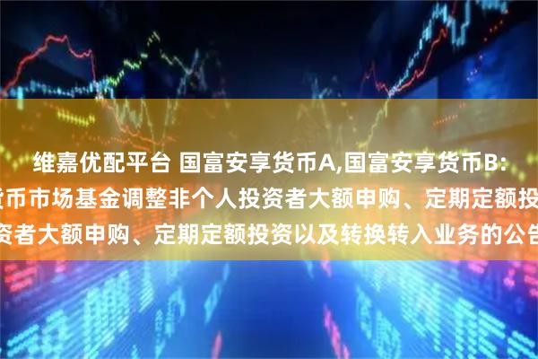 维嘉优配平台 国富安享货币A,国富安享货币B: 关于富兰克林国海安享货币市场基金调整非个人投资者大额申购、定期定额投资以及转换转入业务的公告