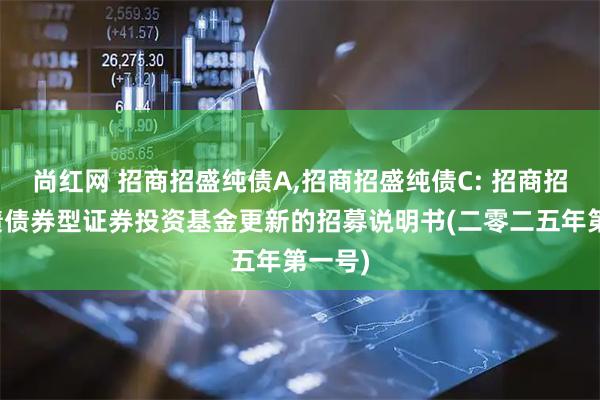 尚红网 招商招盛纯债A,招商招盛纯债C: 招商招盛纯债债券型证券投资基金更新的招募说明书(二零二五年第一号)