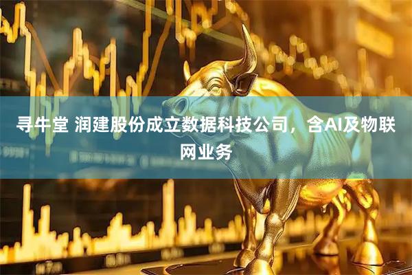 寻牛堂 润建股份成立数据科技公司，含AI及物联网业务