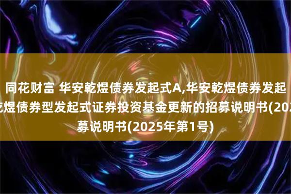 同花财富 华安乾煜债券发起式A,华安乾煜债券发起式C: 华安乾煜债券型发起式证券投资基金更新的招募说明书(2025年第1号)