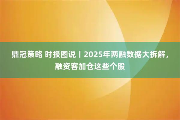 鼎冠策略 时报图说丨2025年两融数据大拆解,融资客加仓这些个股
