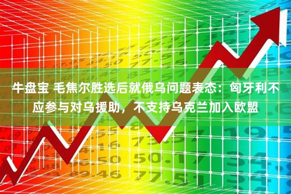 牛盘宝 毛焦尔胜选后就俄乌问题表态：匈牙利不应参与对乌援助，不支持乌克兰加入欧盟
