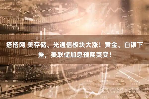 搭搭网 美存储、光通信板块大涨！黄金、白银下挫，美联储加息预期突变！